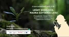 Zostań leśnym detektywem i odkryj tajemnice natury