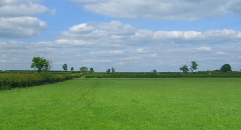 Niedzielny spacer