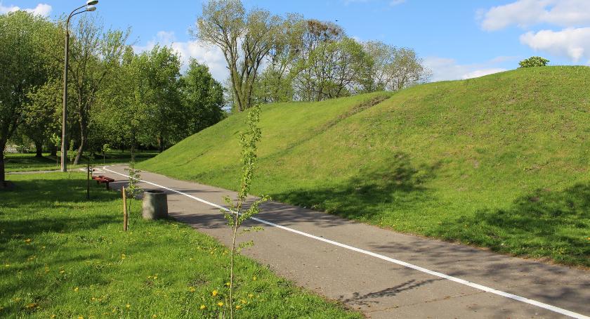 Pijany mężczyzna wjechał samochodem do parku