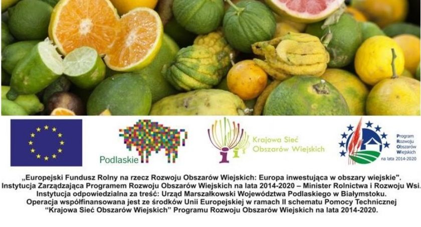 Współpraca w rolnictwie ma sens – włoskie inspiracje