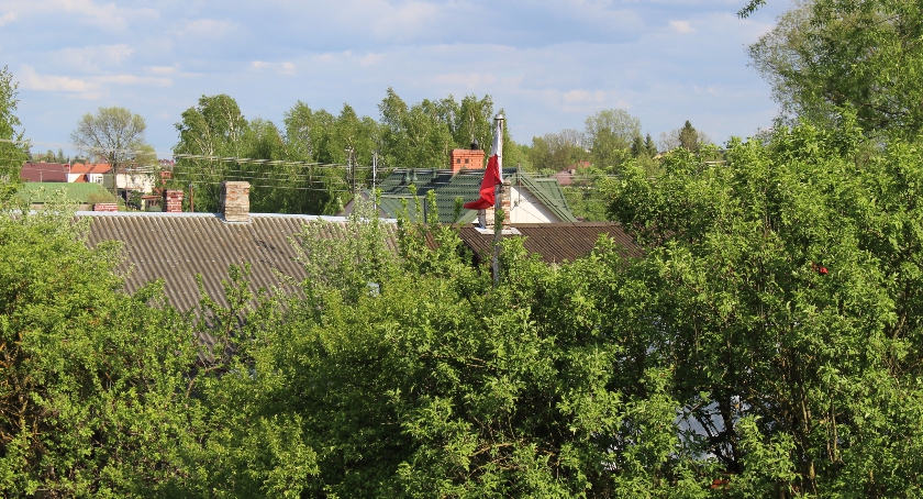 Konsultacje w sprawie zagospodarowania terenów zielenią