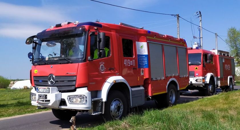 Wycinał drzewa, uszkodził linię energetyczną