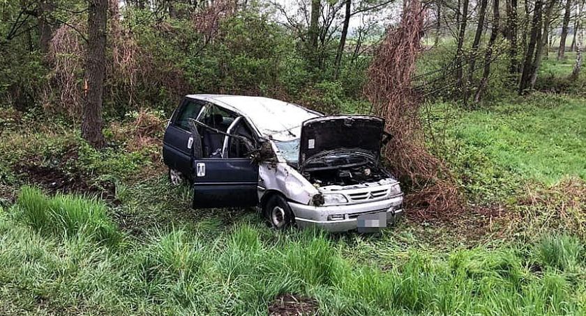 Citroen uderzył w drzewo. Za kierownicą 75-latek [zdjęcia]