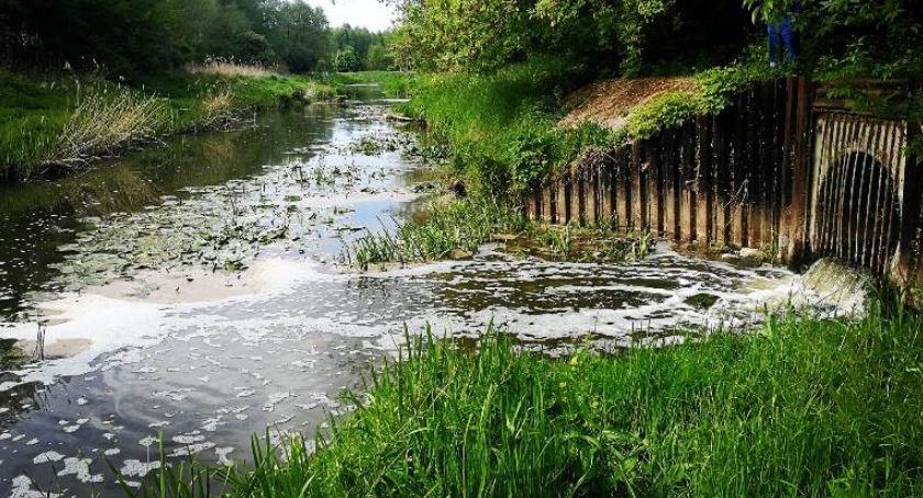 Zanieczyszczona Łydynia i martwe ryby. Sprawę bada WIOŚ [zdjęcia]