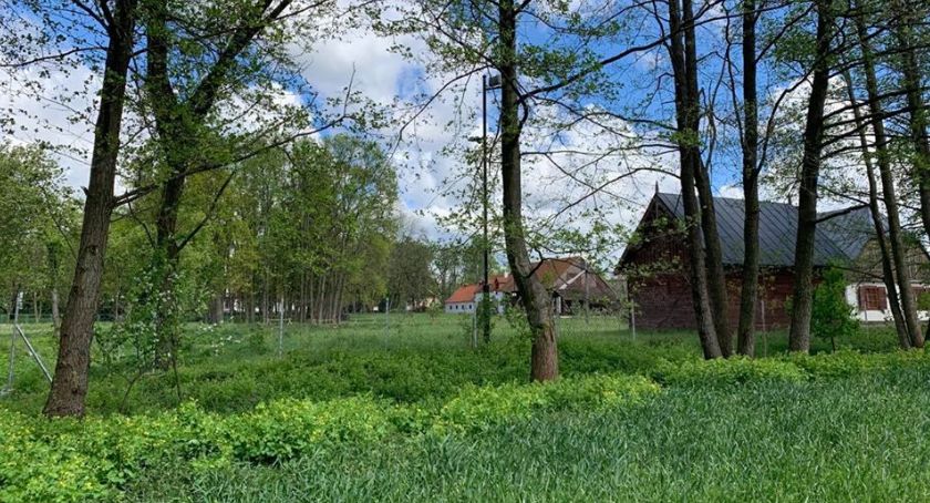 Powiat Ciechanowski wybuduje park rekreacyjno-poznawczy z tężniami solankowymi