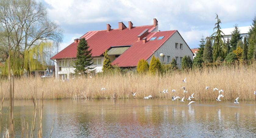 Startują zajęcia w COEK STUDIO