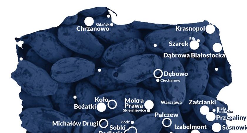 Pomysł na weekend – plantacja jagody kamczackiej