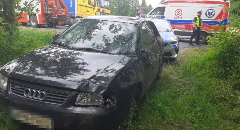 Zderzenie samochodu osobowego z samicą łosia