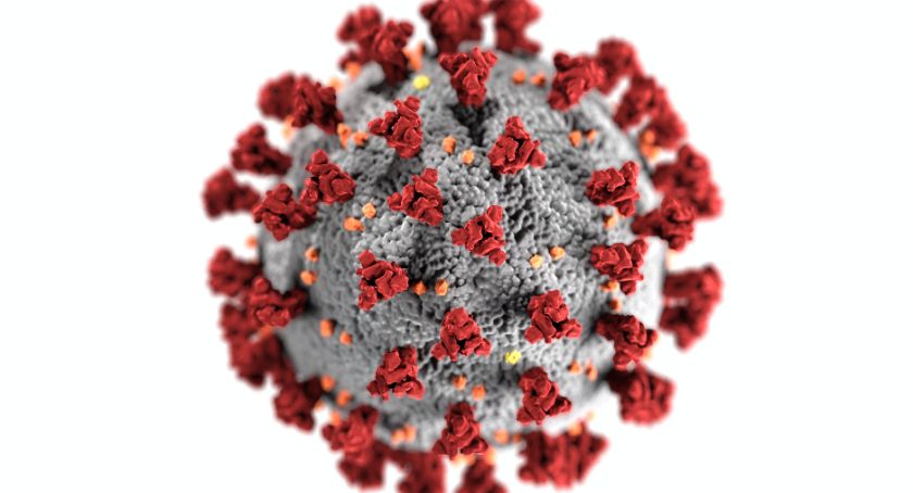Sytuacja epidemiologiczna w powiecie ciechanowskim [24 czerwca]