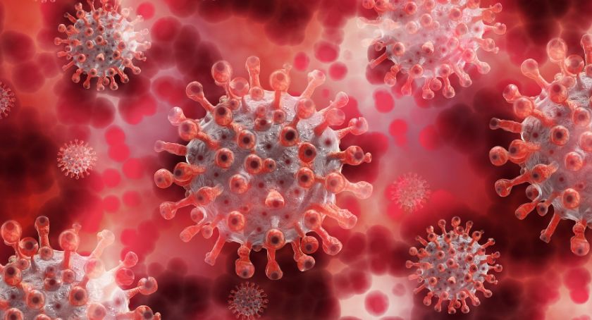 Sytuacja epidemiologiczna w powiecie ciechanowskim [29 czerwca]