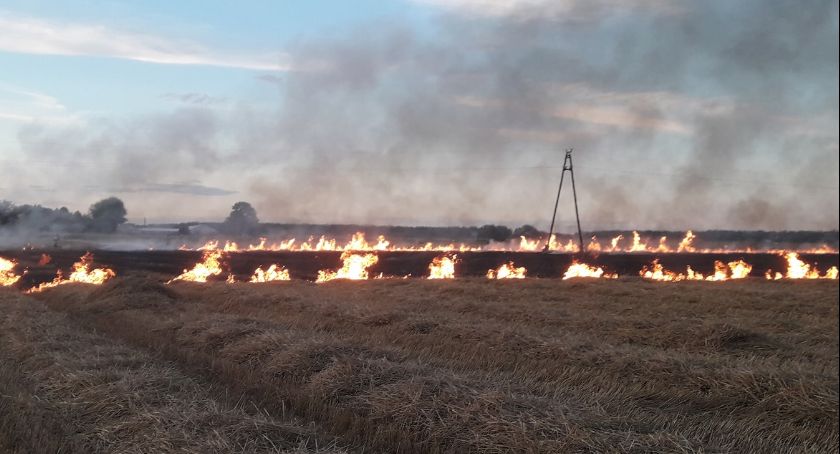 Duży pożar pod Ciechanowem [zdjęcia]