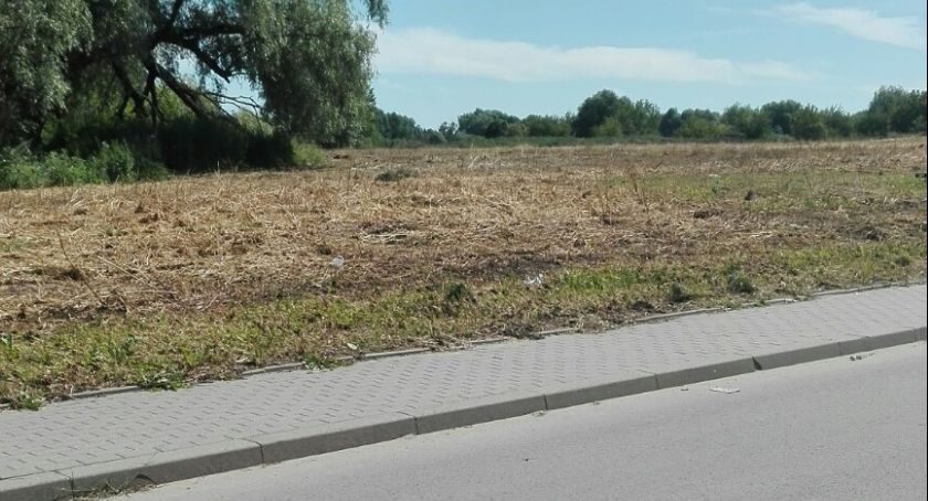 Wasze Info: Ekspresowa reakcja miasta [zdjęcia]