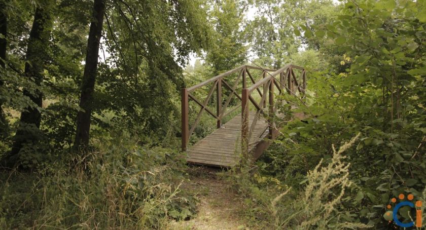 Park podworski w Ojrzeniu zostanie zrewitalizowany [zdjęcia]