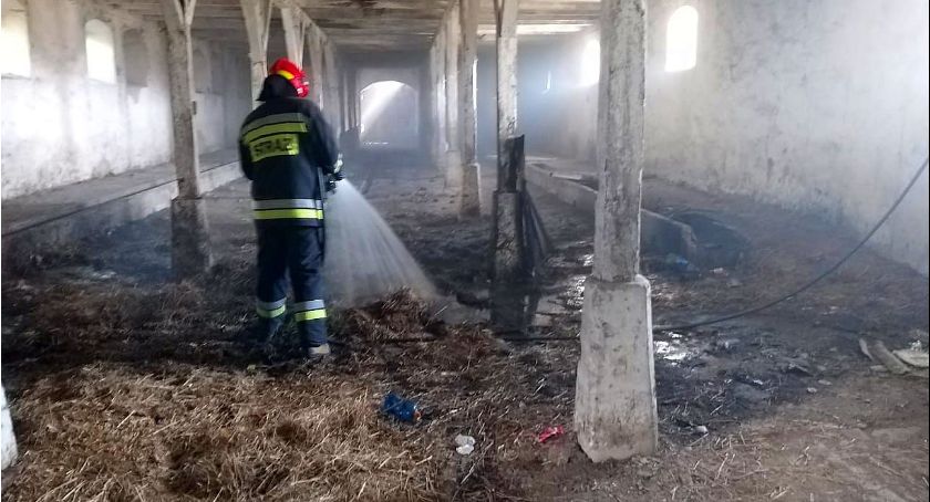 Pożar w gminie Opinogóra Górna