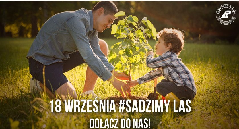 Nadleśnictwo zaprasza do akcji #sadziMY 2020. Rozda mieszkańcom powiatu ciechanowskiego kilkaset sadzonek