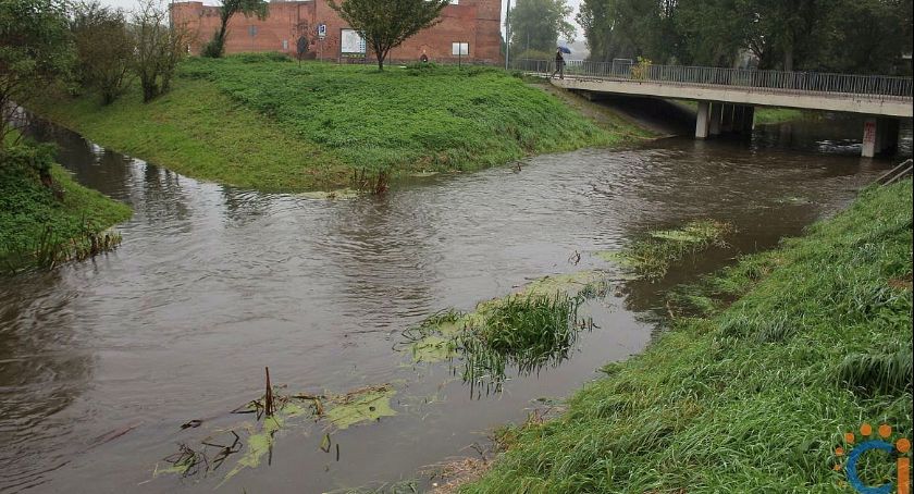 Wzrost poziomu wody w rzekach. Ostrzeżenie hydrologiczne m.in. w powiecie ciechanowskim [zdjęcia]