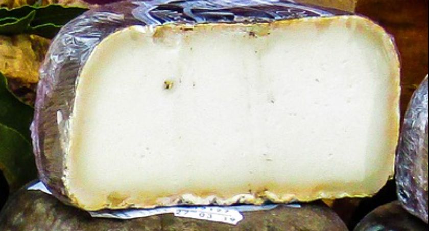 Bakterie w serze z popularnego marketu