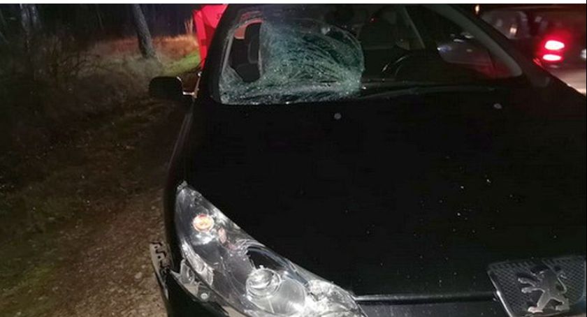 Zginęła pod kołami Peugeota