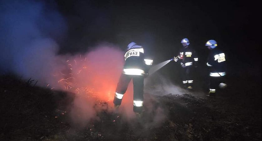 Znów paliło się pod Ciechanowem [zdjęcia]