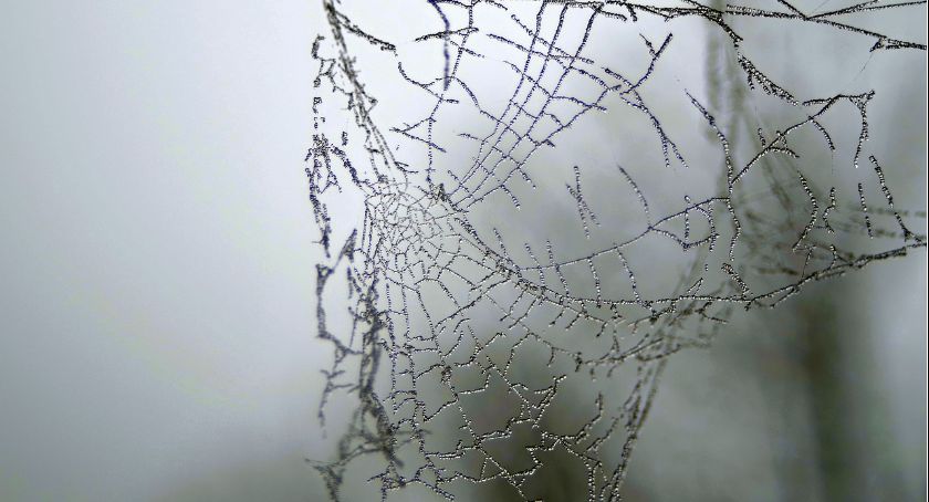 Podwójne ostrzeżenie pogodowe w powiecie ciechanowskim