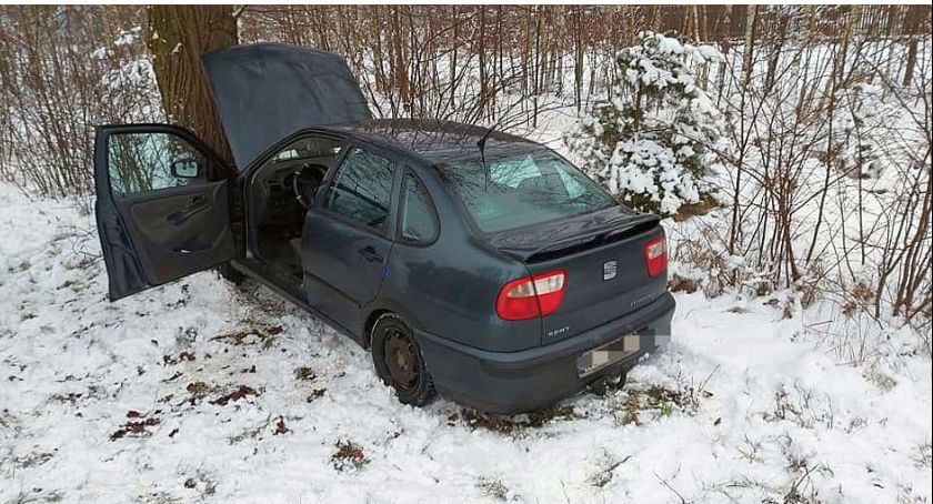 Seat uderzył w drzewo [zdjęcia]