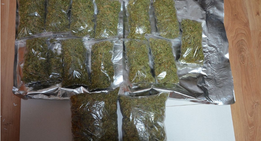 U sąsiadów: Zlikwidowali plantację konopi. Przejęli narkotyki za blisko 130 tys. zł (zdjęcia)