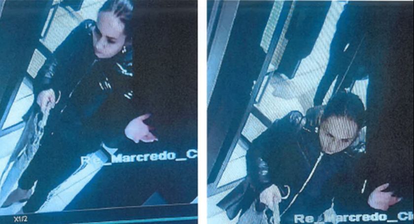 Kradły w centrum handlowym pod Ciechanowem. Policja szuka dwóch kobiet [zdjęcia]