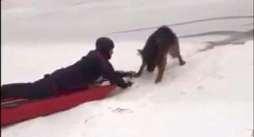 Pies wpadł do lodowatej wody. Z pomocą ruszyli policjanci i strażacy [wideo]
