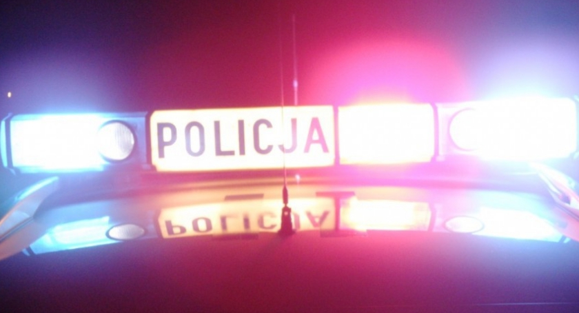 Ciężarówką w łosia. Auto wjechało do rowu i wywróciło się
