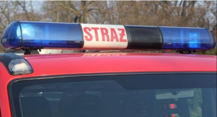 Mieli uratować gołębia, zastali atrapę