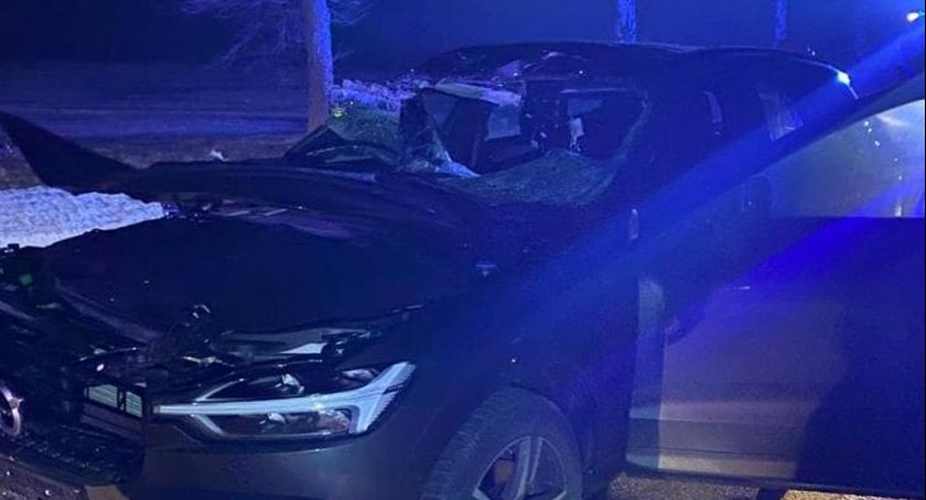 Kierowca Volvo uderzył w łosia