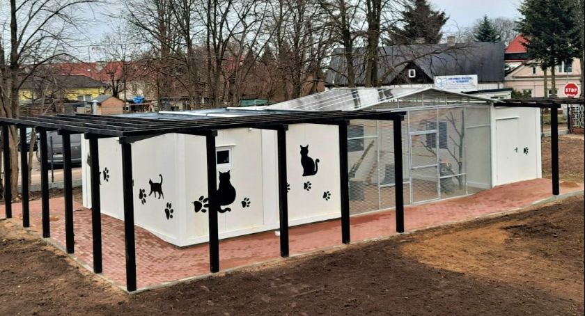 Ośrodek Felinoterapii w Ciechanowie prawie gotowy [zdjęcia]