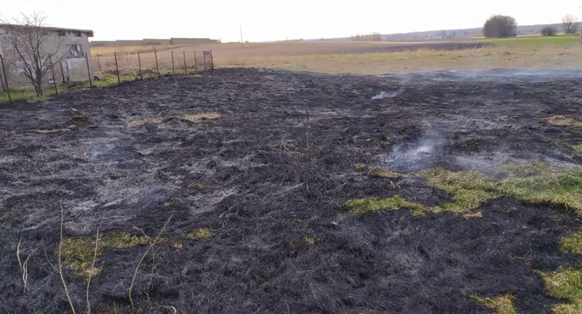 Chłopiec poszkodowany przy pożarze traw pod Ciechanowem