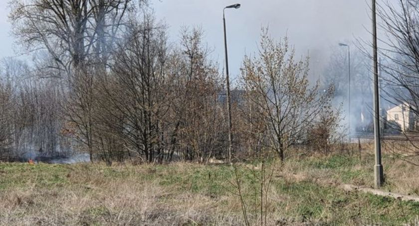 Paliło się w Ciechanowie [zdjęcia]