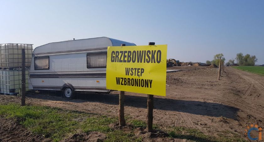 Wasze Info: Grzebowisko padłego na ptasią grypę drobiu powstaje pod Gołyminem. W nocy mieszkańcy blokowali pierwsze transporty [zdjęcia]