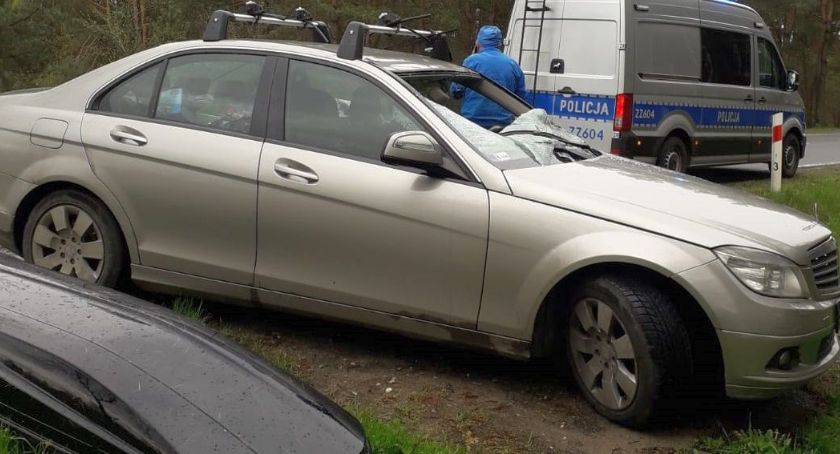 Kierowca z Ciechanowa uderzył w jelenia. Grozi mu kara więzienia [zdjęcia]