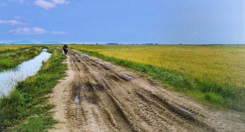 Dotacje dla gmin z powiatu ciechanowskiego na remont dróg dojazdowych do gruntów rolnych [lista]