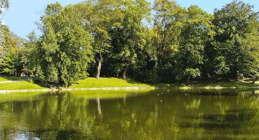 Pieniądze na ochronę powietrza i zieleń dla gmin z powiatu ciechanowskiego