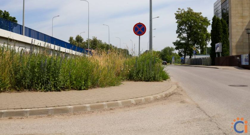 [AKTUALIZACJA] Wasze Info: Wysoka trawa ogranicza kierowcom widoczność w Ciechanowie [zdjęcia]