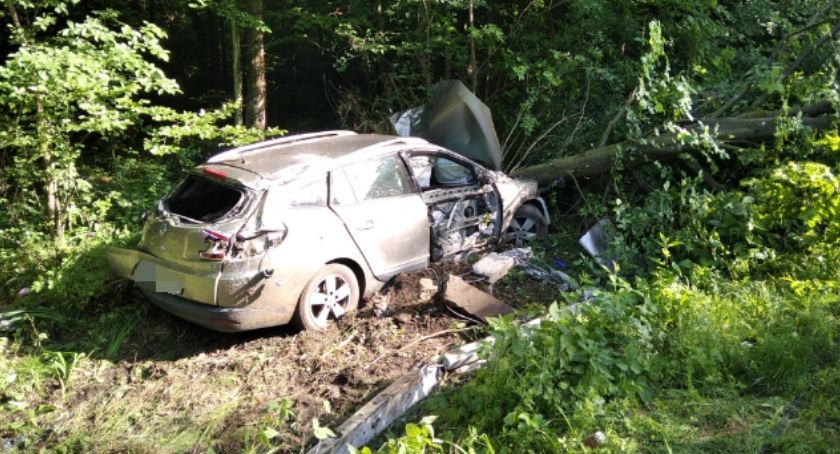 Kierowca Renault uderzył w słup i drzewa [zdjęcia]