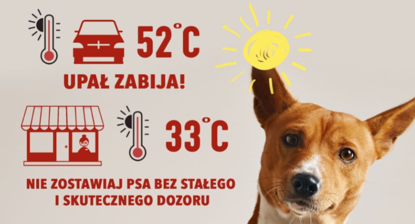 Idziesz na zakupy? Nie zostawiaj psa pod sklepem - wakacyjna akcja Straży Miejskiej z Ciechanowa
