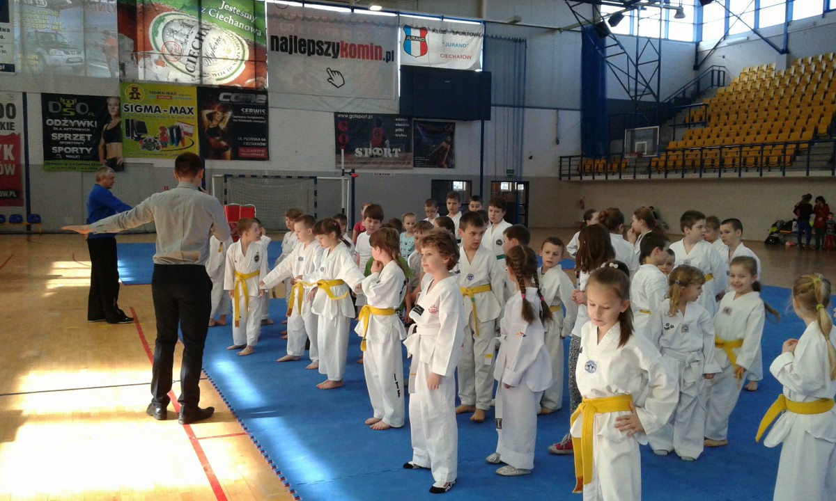 Wiosenny Turniej Taekwondo olimpijskiego dla dzieci (zdjęcia)