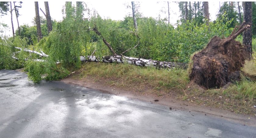 Burza w powiecie ciechanowskim - prawie 40 interwencji strażay pożarnej