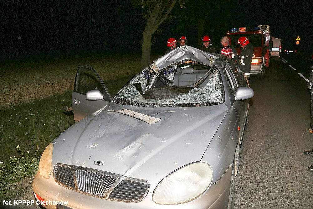 Zderzenie Daewoo z łosiem pod Ciechanowem. Autem podróżowała trzyosobowa rodzina (zdjęcia)
