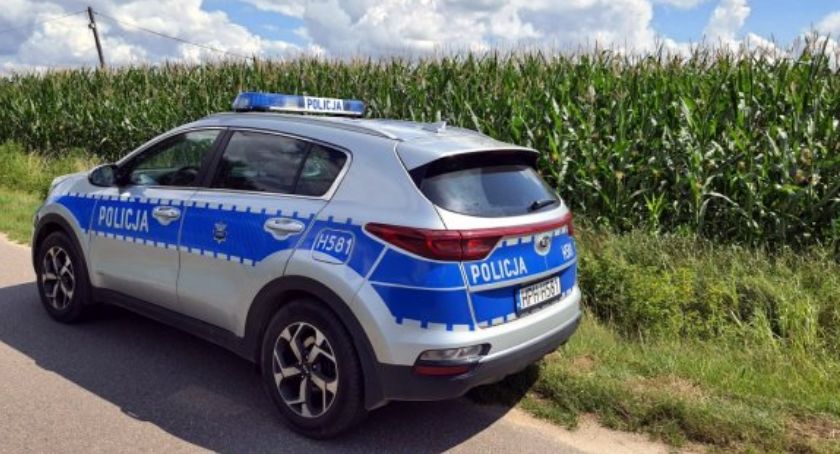Poszukiwany uciekł przed policją w pole kukurydzy. Grozi mu długoletni wyrok