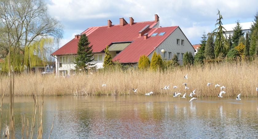 Kubańskie rytmy nad Kanałami