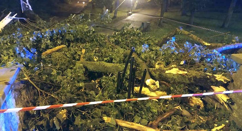 Na ul. 3 Maja runęło drzewo [zdjęcia]