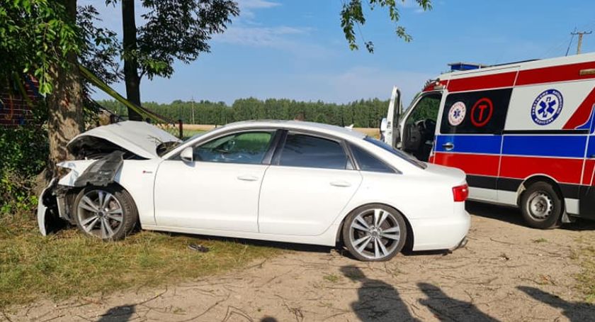Audi uderzyło w przydrożne drzewo [zdjęcia]