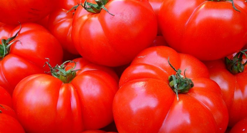 Mieszkaniec Ciechanowa ukradł ponad pół tony pomidorów