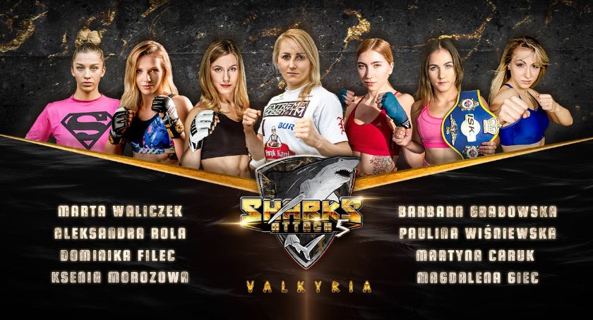 W Ciechanowie odbędzie się gala MMA i K1